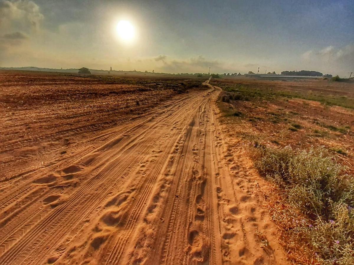Kibbutz Hatzor A Room Close To Ashdod Hatzor Ashdod Exteriör bild
